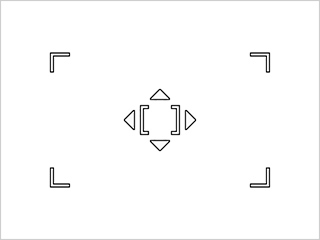 수동 (표준)