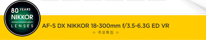 80³â ¿ª»çÀÇ NIKKOR LENS, AF-S DX NIKKOR 18-300mm f/3.5-6.3G ED VR ÁÖ¿äÆ¯Â¡