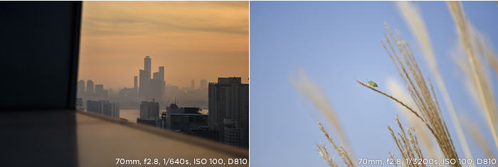 70mm, f2.8, 1/640s, ISO 100, D810 / 70mm, f2.8, 1/3200s, ISO 100, D810 샘플사진