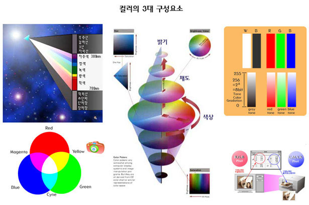 컬러 컨셉2