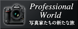 이미지：Professional World