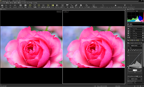 RAW현상시 편집 전후의 화상을 Before/After에서 표시하는 [편집 결과 비교 모드]
