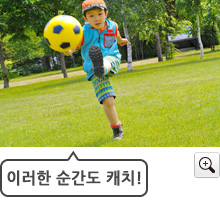 이미지：사진샘플