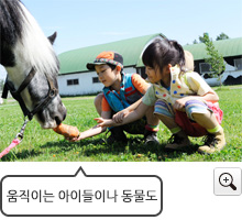 이미지：사진샘플