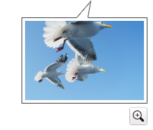 이미지：사진샘플