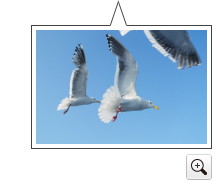 이미지：사진샘플