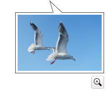 이미지：사진샘플