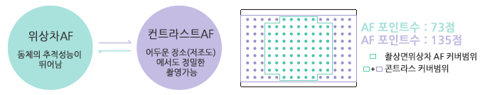 位相差AF：動体の추적性に優れる⇔コントラストAF：暗い場所でも高精度