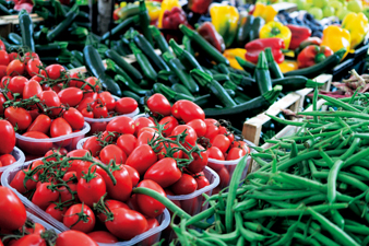 이미지：사진샘플