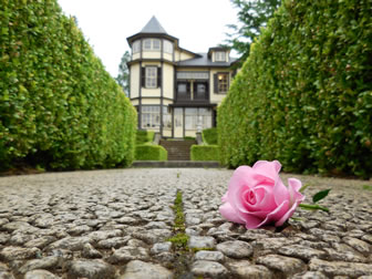 写真：撮影サンプル