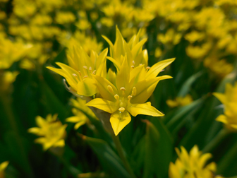 写真：撮影サンプル