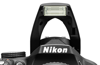 D3300