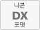 니콘 DX 포멧