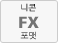 니콘 포맷